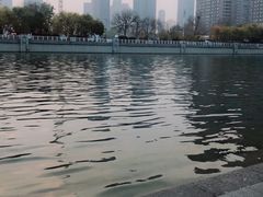 -海河游船-永乐码头(大悲院)