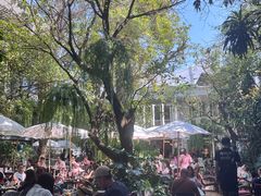 -Fern Forest Cafe