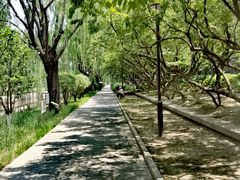 -元大都城垣遗址公园