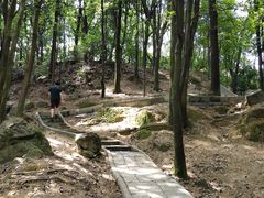 -火炉山森林公园
