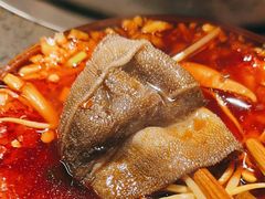 -华丰火锅(双林北横路店)