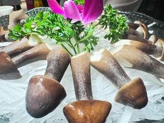 -正禾鲜·潮汕牛肉火锅(凯德天府店)