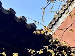 -钱王祠