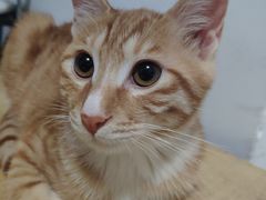 -武汉境自在書店