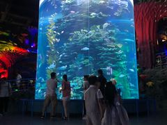 -泉城欧乐堡海洋极地世界