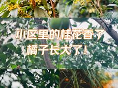 -上海体育场