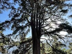 -终南山南五台景区