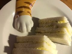 -more than meow吴止猫主题餐厅(承德 中船汇店)