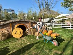 -HERRE·FARM 赫尔露营农场·团建聚会包场