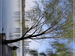 -渤公岛生态公园