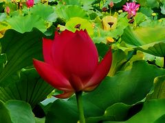 -南戴河国际娱乐中心