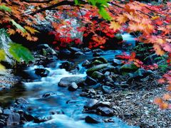景点-本溪老边沟风景区