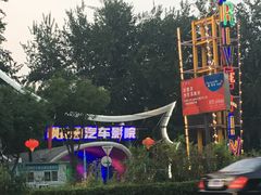 -枫花园汽车电影院(朝阳公园店)