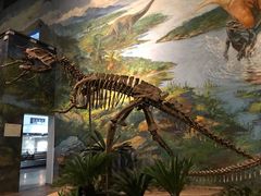 -自贡恐龙博物馆