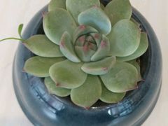 -金乐活美食(中街店)