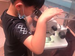 -陕西自然博物馆