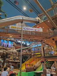 -卡通尼·Safari非洲探索乐园·生日会(金桥国际商业广场店)