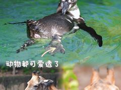 -长鹿旅游休博园