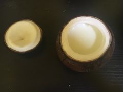 -志龙皇冠吃货椰子铺