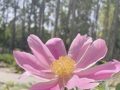 -仁和公园(顺义区)