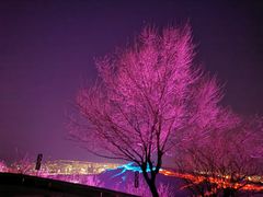 -红光山