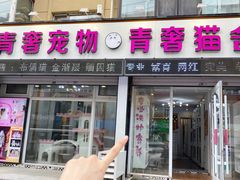 -青奢宠物·青奢猫舍