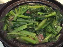 -金成潮菜博物馆(海珠湿地店)