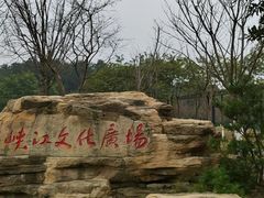 -铁山坪森林公园