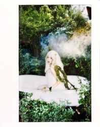 点击看大图 -WAVE SODA摄影工作室