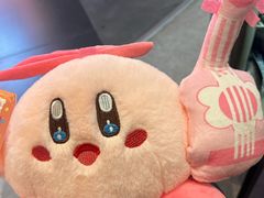 -可爱抓 COCO  GOTCHA(天津鹏欣水游城店)