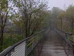 -西湖风景区-江洋畈生态公园