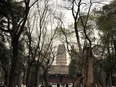 -德发长·花式蒸饺(大唐不夜城店)