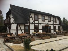 -金山农民画村-枫泾波兰倒置屋