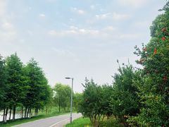 -阳澄湖半岛旅游度假区