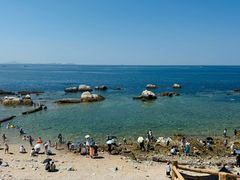 -养马岛旅游度假区