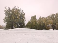 -万柳高尔夫俱乐部