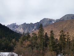 -黄龙山原始森林景区