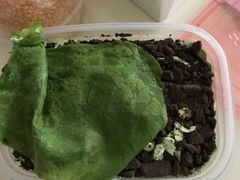-吉家蛋糕(迎春路店)