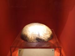 -迪庆藏族自治州博物馆