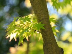 -苏州河梦清园环保主题公园