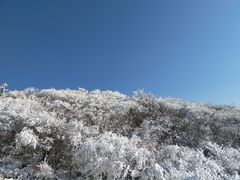 -秦岭风景区