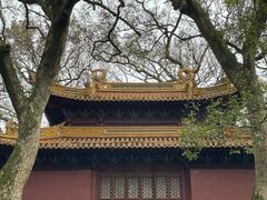 -普陀山风景名胜区-法雨禅寺