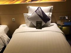 -苏州金鸡湖文博诺富特酒店