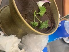 -阿古蒙·传统涮火锅自助(三台子万象汇店)