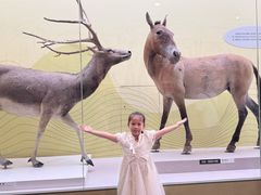 -国家自然博物馆