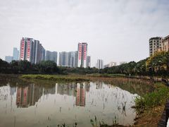 -中澳友谊花园