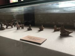 -北京动物园-畅观楼