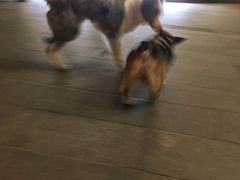 -金融街·静安中心