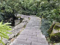 -大屏嶂森林公园