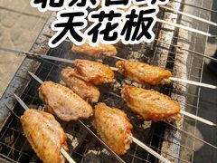-尚庄度假村·庭台树下·户外烧烤·团建CS·轰趴营地(上庄水库店)